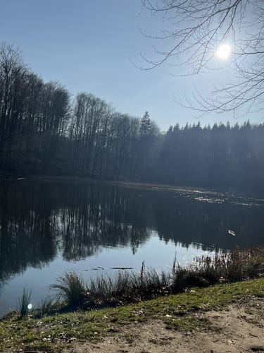 Alle Teiche Strecke