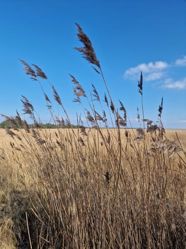 Rundwanderweg Weites Land