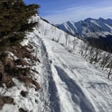 Bird Ridge Trail, Alaska - 1,007 Reviews, Map | AllTrails