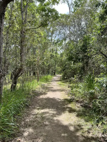 Best Hikes And Trails In Fay Smith Wetlands 