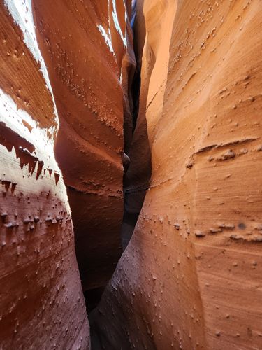 Zebra, Peek-a-Boo and Spooky Slot Canyons Exploration in Dry Arid  Landscapes Near Escalante Town, Utah, USA. Stock Photo - Image of  adventure, desert: 215252384