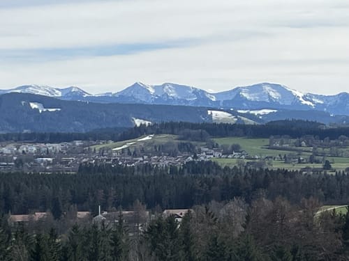 Neutrauchburg