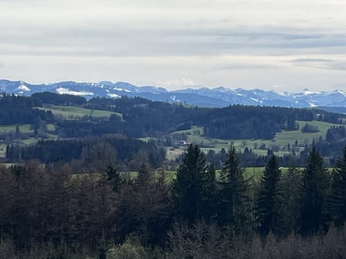 Neutrauchburg