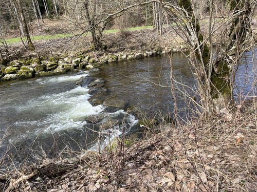 Neutrauchburg