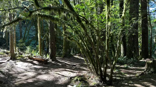 10 Best Hikes And Trails In Washington Dnr Trail Systems 