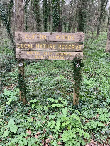 best-hikes-and-trails-in-clifton-wood-grove-and-holme-pit-local-nature