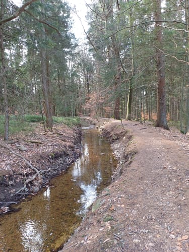 Hasselbachgraben und Solchbachtal