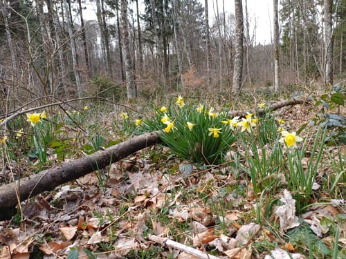 Hasselbachgraben und Solchbachtal