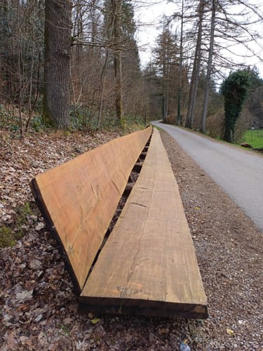 Hasselbachgraben und Solchbachtal