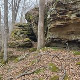 Panther Den Loop, Illinois - 946 Reviews, Map | AllTrails