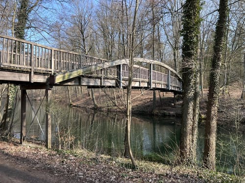 Um den Werbellinsee