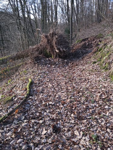 Niedersteinbach - Dörnsteinbach - Brücken