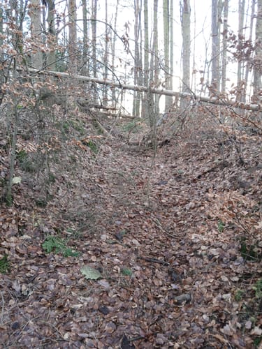 Niedersteinbach - Dörnsteinbach - Brücken