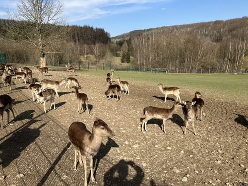 Floßgrabenwanderung