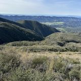 Horn Canyon Trail, California - 329 Reviews, Map | AllTrails