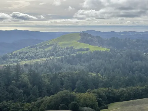 Skyline Ridge Open Space Preserve: Die besten Spaziergänge | AllTrails