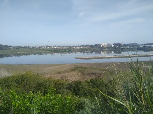 Best Hikes and Trails in Windrow Community Park | AllTrails