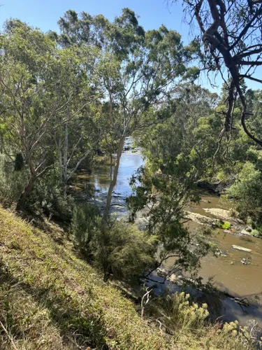 Best Moderate Trails in Mullum Mullum Linear Park | AllTrails