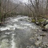 Ramsey Cascades Trail, Tennessee - 2,228 Reviews, Map | AllTrails