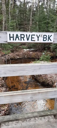 Best Walking Trails in Wolfeboro | AllTrails