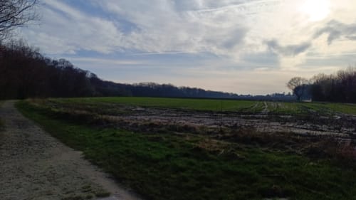 Castrop-Rauxel: Alte Rennbahn - Halde Schwerin