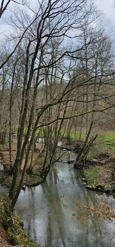 Best Moderate Trails in Wyre Forest AllTrails