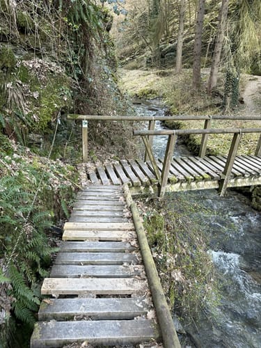 Enderttal Rundweg ab Cochem