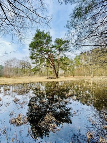 Krumme Lake Grünau