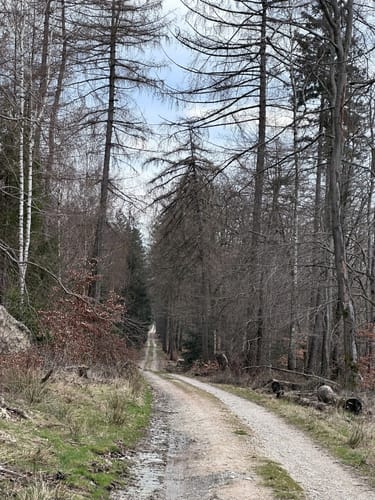 Fuchslöcher - Lochmühle - Köpperner Tal
