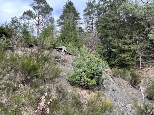 Hörlepanoramaweg (Extratour)