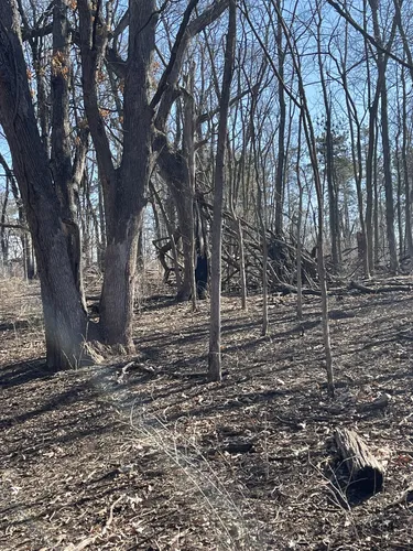 Best Wildlife Trails in Granger AllTrails