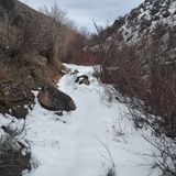 2023 Dry Creek-Shingle Creek - Idaho Trails Association