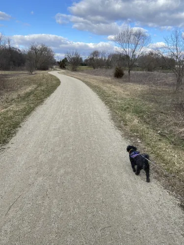 Best Hikes and Trails in Grassy Lake Forest Preserve | AllTrails