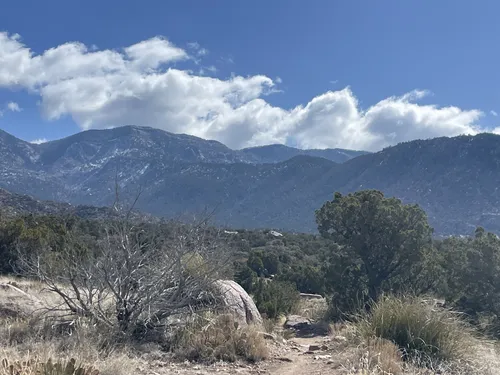 10 Best Hikes and Trails in Elena Gallegos Picnic Area/Albert G. Simms ...
