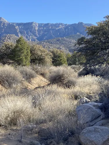 Best Walking Trails in Elena Gallegos Picnic Area/Albert G. Simms Park ...