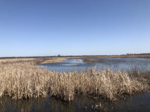 Best Hikes And Trails In Baker Wetlands 