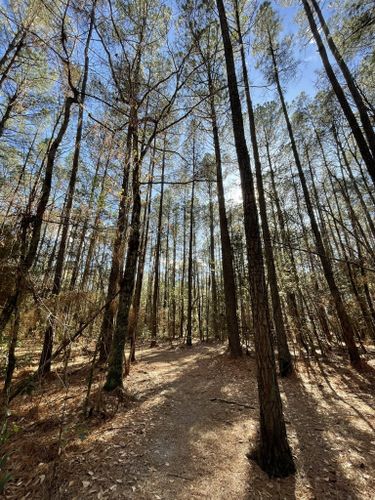 Alice F. Keene Park Nc