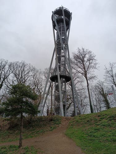 Schlossberg Runde Freiburg