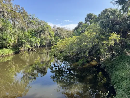Turkey Creek Sanctuary – Florida Hikes
