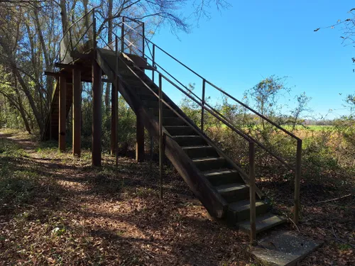 Exploring Santee National Wildlife Refuge in South Carolina - Au-delà du  paysage