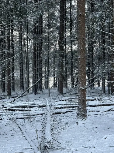 Best Hikes and Trails in State Game Lands Number 127 AllTrails