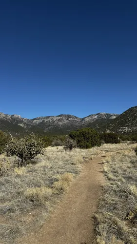 Best Walking Trails in Elena Gallegos Picnic Area/Albert G. Simms Park ...