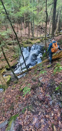 Best Hikes and Trails in Robert V. Riddell State Park | AllTrails