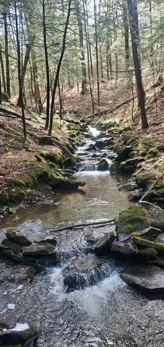 Best Hikes and Trails in Robert V. Riddell State Park | AllTrails
