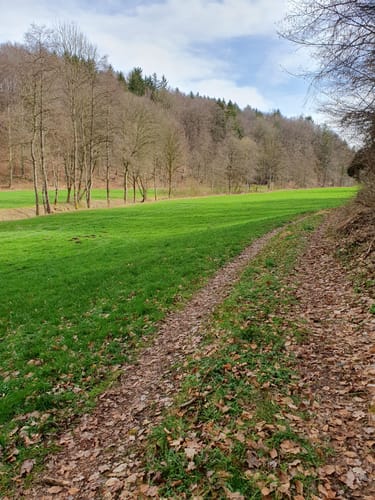Burgrain Rundweg
