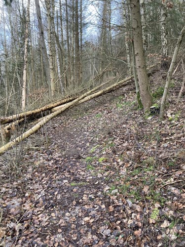 Rotenburg Wanderweg R3