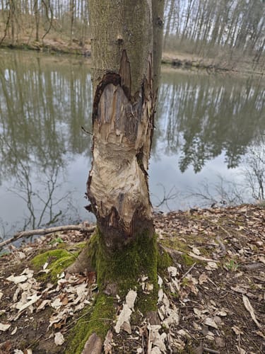 Rund um Nidda