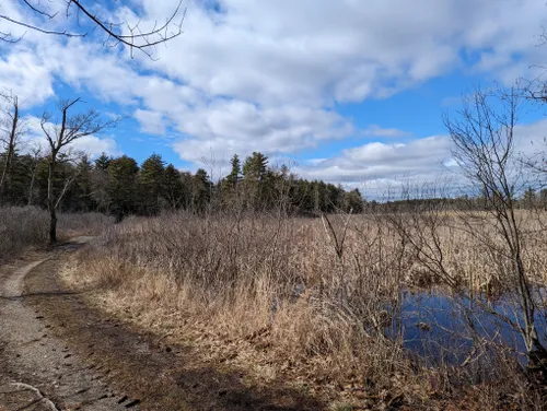 willowdale mountain biking