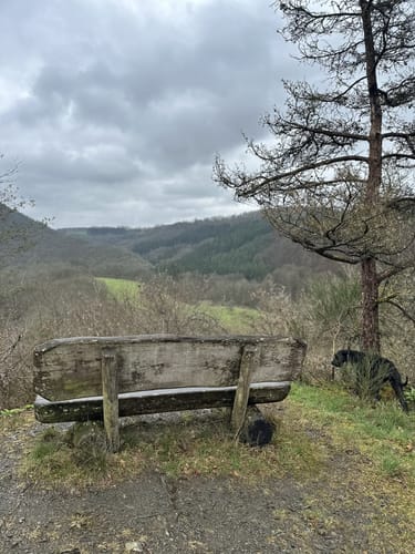 Prümtalweg (NaturWanderPark)