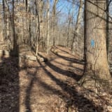 Double Rock Park Trail, Maryland - 941 Reviews, Map | AllTrails